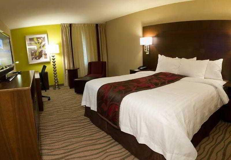Fairfield Inn & Suites By Marriott Dallas Dfw Airport South/Irving Rum bild